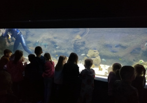 Dzieci z grupy zielonej obserwują ryby i płetwonurka w ogromnym akwarium
