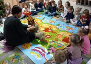 Dzieci siedzą na dywanie wokół kolorowej maty, na której są psy-terapeuci ze swoją opiekunką.