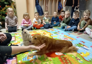 Dzieci siedzą na dywanie. Obserwują pokaz przez właścicielkę karmienia psów.