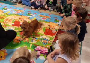 Dzieci siedzą na dywanie wokół kolorowej maty, na której leżą psy-rehabilitanci. Słuchają opowieści właścicielki psów na temat ich pracy.