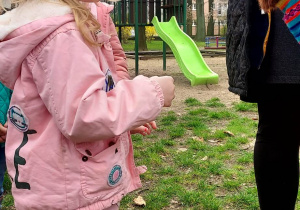 Na zdjęciu dziewczynka z grupy fioletowej stoi w ogrodzie przedszkolnym obok dziewczynki stoi brązowa alpaka, która zjada plasterek marchewki z czapki dziewczynki