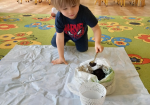 Chłopiec klęczy na białej macie rozłożonej na kolorowym dywanie. Wsypuje łyżką ziemię do białej doniczki. Obok doniczki leżą dwie cebule.