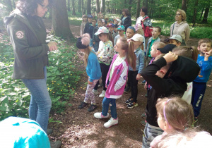 Na zdjeciu dzieci z grupy zielonej i czerwonej podczas spaceru po lesie łagiewnickim, przewodniczka pokazuje dzieciom las