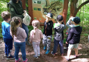 Na zdjęciu dzieci z grupy zielonej stoją przed tablicą informacyjną w lesie łagiewnickim