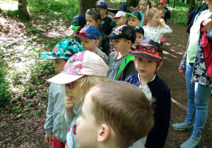 Na zdjęciu dzieci z grupy czerwonej spacerują po lesie, dzieci stoją i słuchają pracownika nadleśnictwa