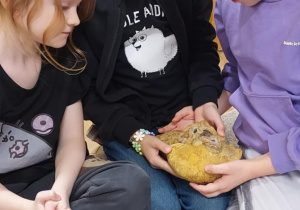 Na zdjęciach trzy dziewczynki z grupy czerwonej oglądają skamieline