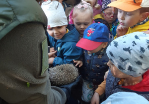 Dzieci stoją przed przewodnikiem. Oglądają jeża trzymanego przez przewodnika.