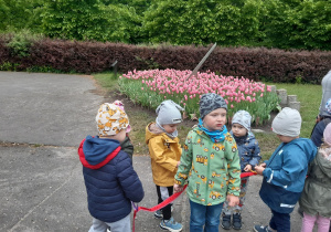Pięciu chłopców stoi na betonowej ścieżce. W rękach trzymają czerwoną tasiemkę. W tle widać różowe tulipany.