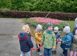 Ogród Botaniczny