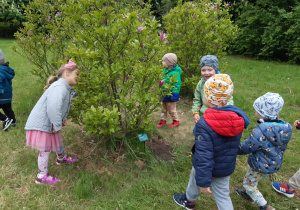 Dzieci stoją na zielonej trawie, oglądają i wąchają kwiaty różowej magnolii.