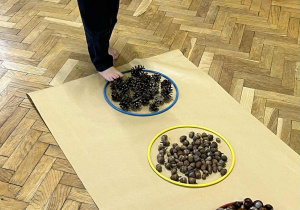 Na zdjęciu chłopiec idący przez ścieżkę sensoryczną wykonaną z kasztanów, żołędzi i materiałów naturalnych
