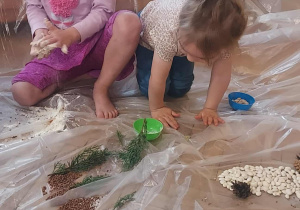 Na zdjęciu dwoje dzieci podczas zajęć sensoplastycznych dzieci bawią się materiałami spożywczymi