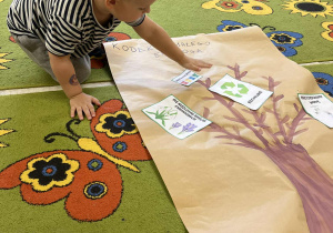 Na zdjęciu chłopiec przyklejający obrazek ekologiczny do namalowanego drzewa