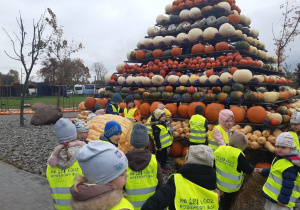 Dzieci w żółtych, odblaskowych kamizelkach stoją na tle piramidy ułożonej z różnokolorowych dyń.